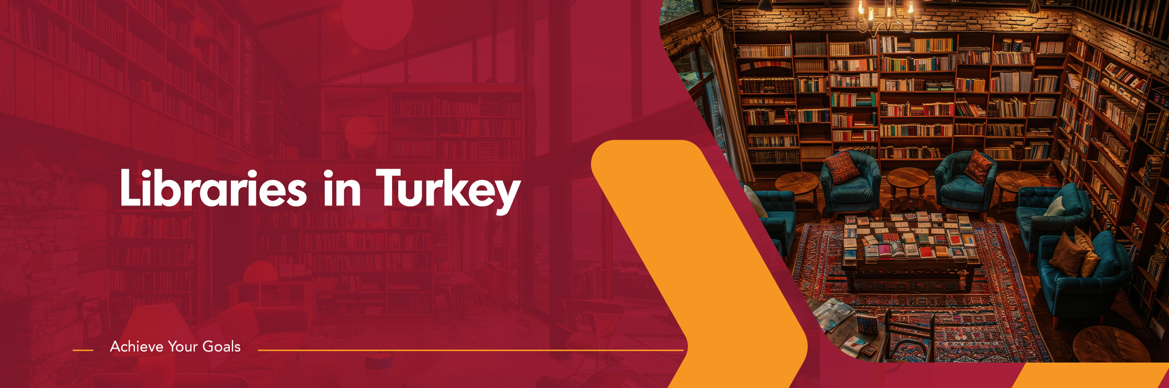 Libraries in Turkey