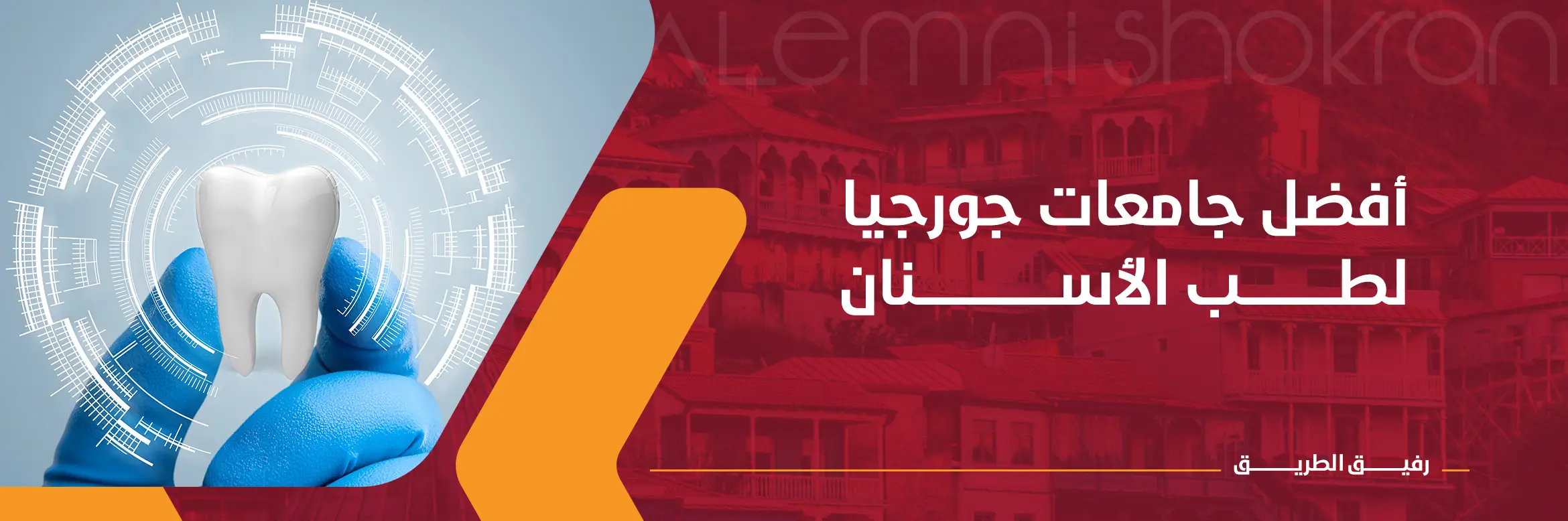 أفضل جامعات جورجيا لطب الأسنان